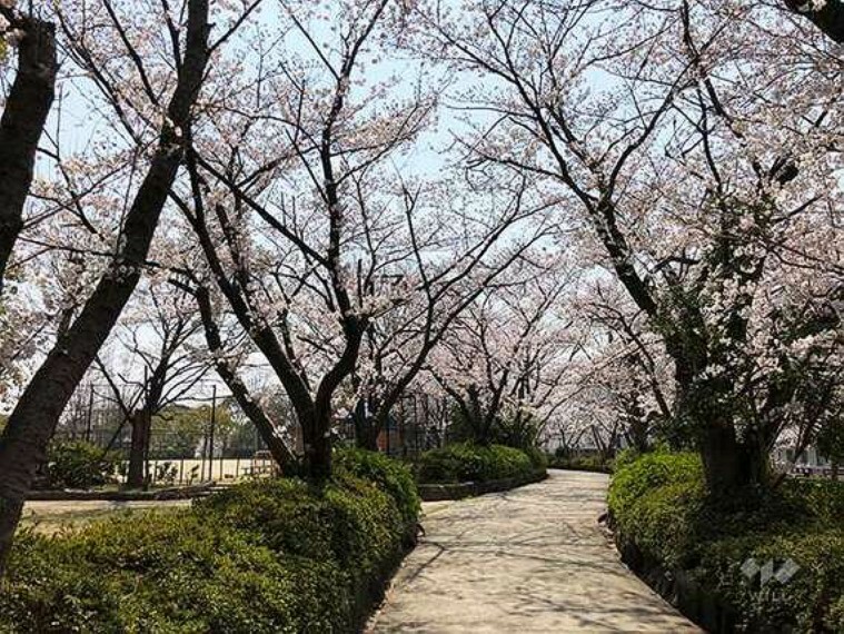 公園 下の池公園の外観