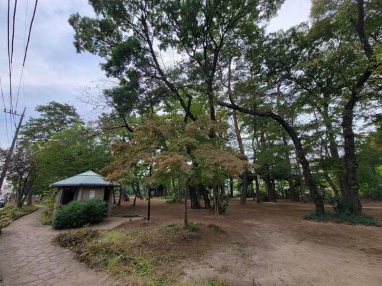 公園 杉並区立宮前公園まで約450m