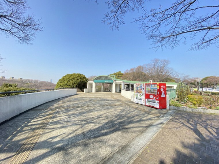 公園 根岸森林公園