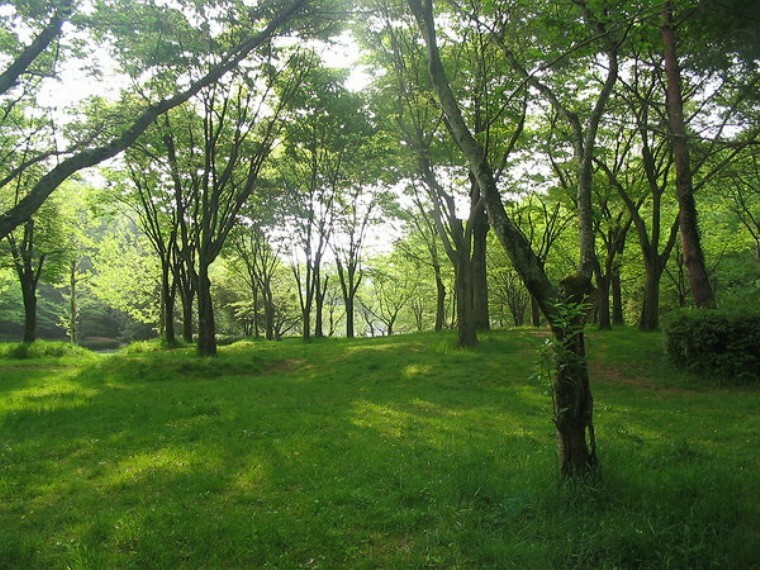 宝が池公園 宝ヶ池の周りをウォーキング・ジョギングしながら豊かな自然を感じることが出来ます。