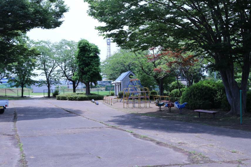 公園 桜の公園
