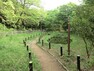 公園 馬場町公園 森林の中にいるような自然豊かな公園。ヒヨドリやツグミ、シジュウカラなど野鳥観察をしながらの散策もおすすめです。