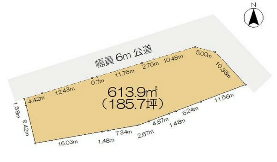 土地図面