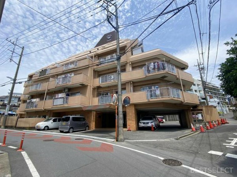 外観写真 総戸数46戸の分譲マンション。教育施設が徒歩10分以内に整う子育てファミリーに優しいラフエリアです。