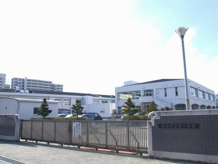 小学校 仙台市立桂小学校徒歩11分