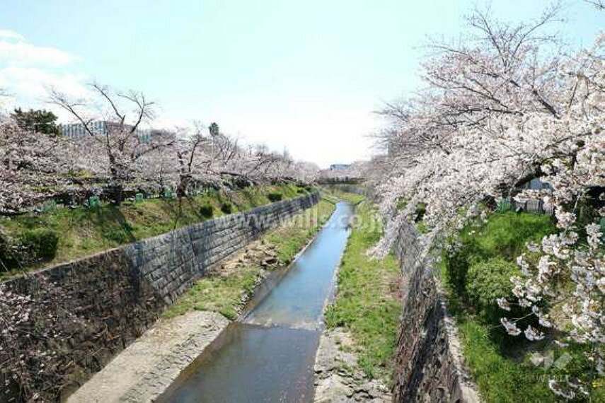 周辺の街並み 山崎川は千種区の猫ヶ洞池を水源とし、昭和区、瑞穂区、南区を流れて名古屋港に注ぐ河川です。全国的な桜の名所にもなっています。