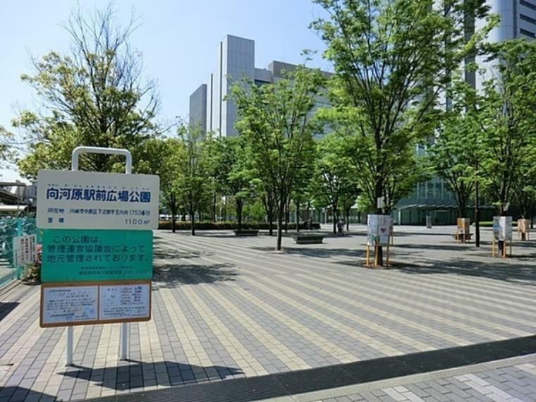 公園 向河原駅前広場公園 駅前の整備されたキレイな公園です。植栽も施され、木漏れ日の中気持ちよくお散歩できます。