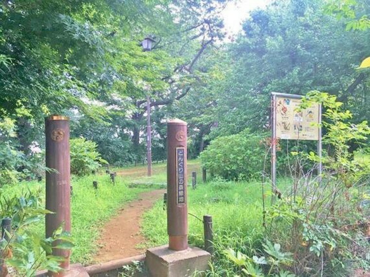 どんぐり山の森緑地まで約223m