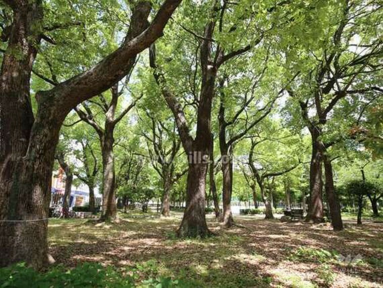 公園 宮前公園の外観