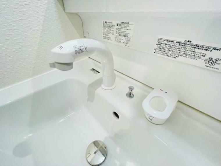 専用部・室内写真 ハンドシャワー付きの楽々洗面台！