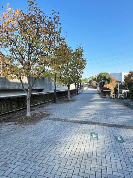 マンションから最寄り駅の「仲町台」までは平坦な信号無しの一本道で、歩行者と自転車専用の歩道です