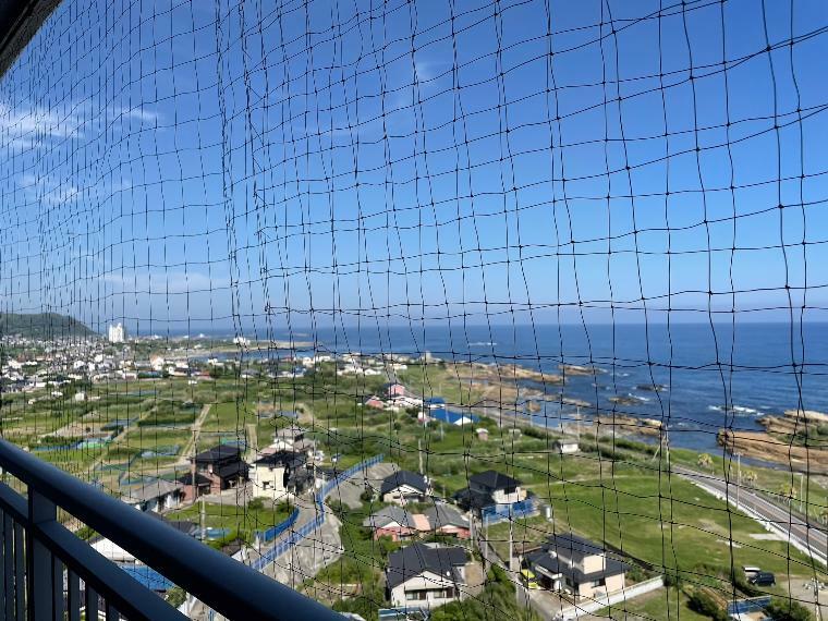 外観・現況 お部屋からの眺望