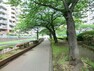 公園 大横川親水公園　477m