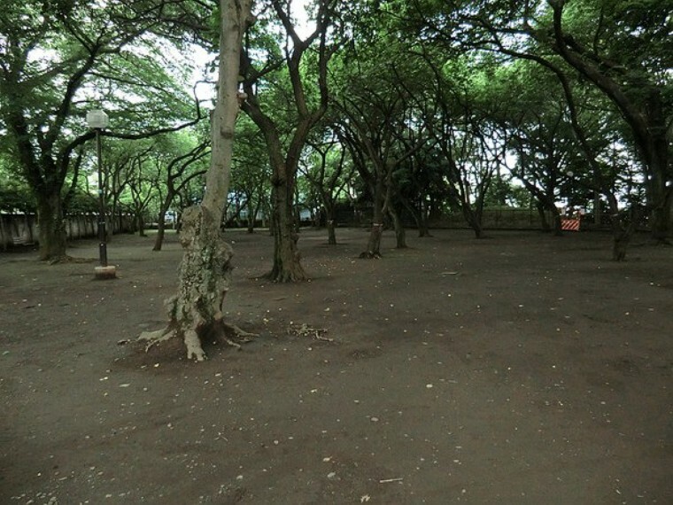 周辺環境 周辺環境:上野毛自然公園