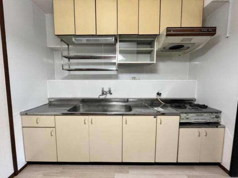 【現況写真】キッチンです。シンク両端のスペースやキッチン上に物がおけるスペースがあるので、収納や調理に合わせた使い方ができます。
