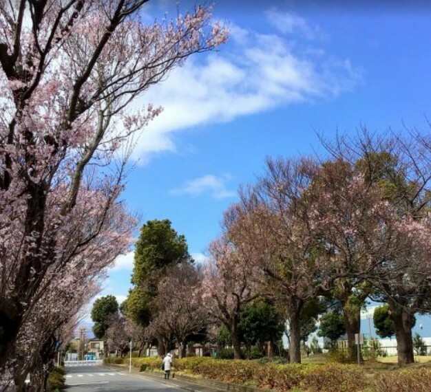 公園 【公園】東原さくら公園まで653m