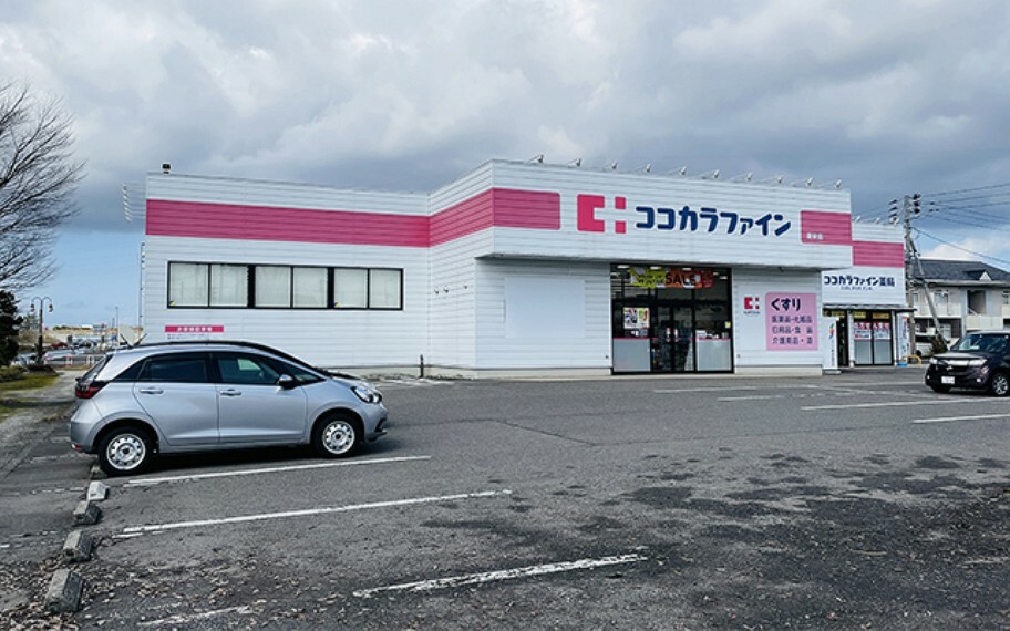 ドラッグストア クスリのコダマ豊栄店