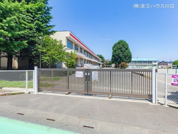 小学校 富士見市立関沢小学校 750m