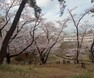 公園 梶が谷第一公園まで約90m