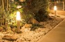庭 夜間の安全性を高め、住宅の外観を輝かせるエクステリアライト。