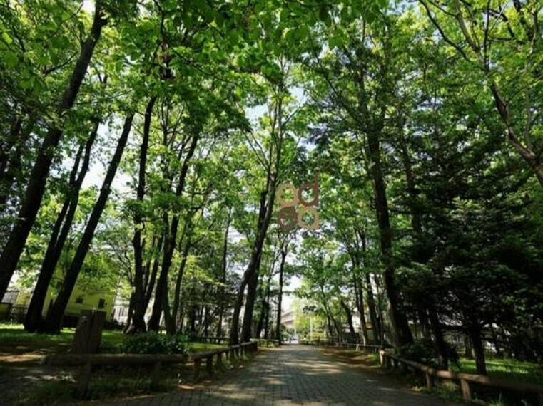 公園 南台樹林公園まで約1600m