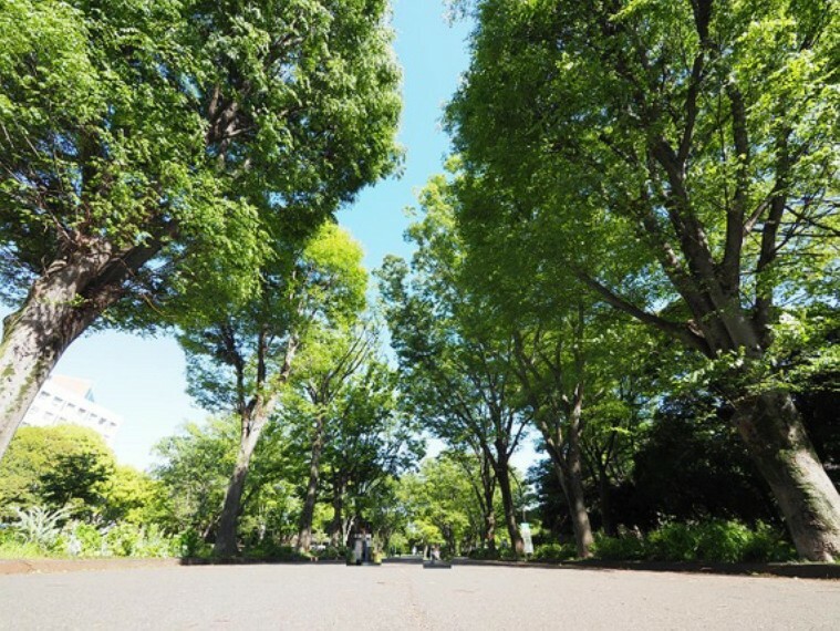 公園 駒沢オリンピック公園まで約2300m