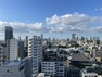 眺望 東京タワーやスカイツリーの眺望も兼ね備えたお住まい。どこまでも広がる青い空を借景に、贅沢なひと時を