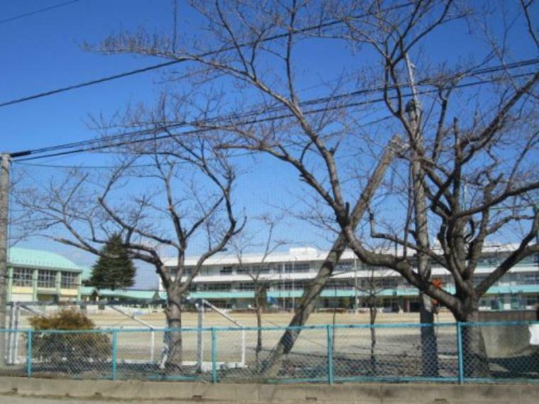 小学校 【小学校】加須市立大桑小学校まで483m