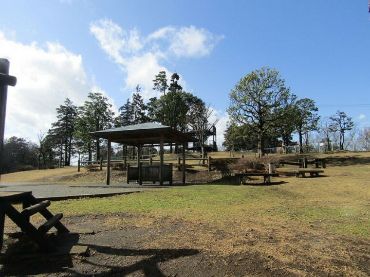 公園 【公園】大坂台公園まで391m