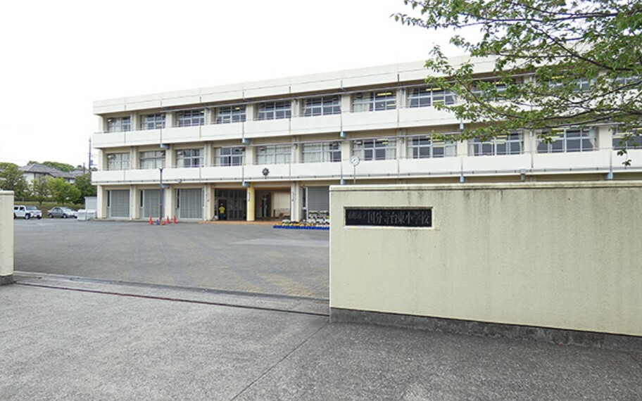 小学校 国分寺台東小学校