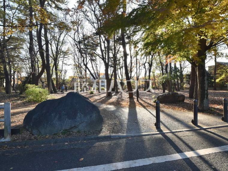 公園 野鳥の森公園