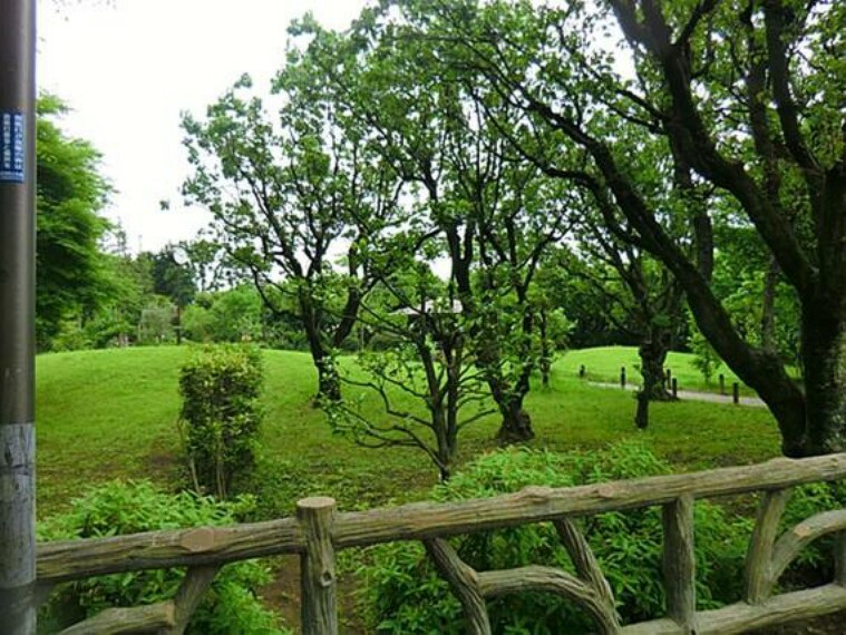 公園 田柄梅林公園まで約1900m