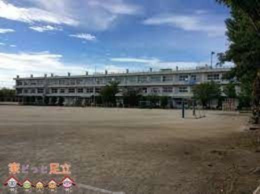 小学校 三郷市立高州小学校 徒歩12分。