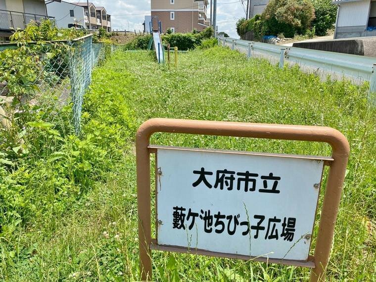 公園 藪ケ池ちびっ子広場