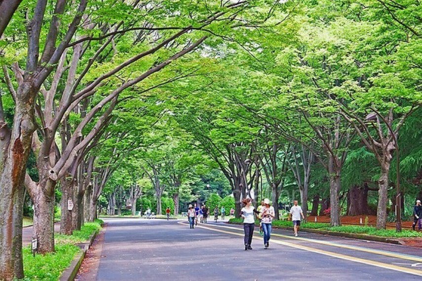 公園 遠方から訪れる方も多い駒沢公園素敵なカフェもありカップル、お子様連れ、お散歩様々な需要があります