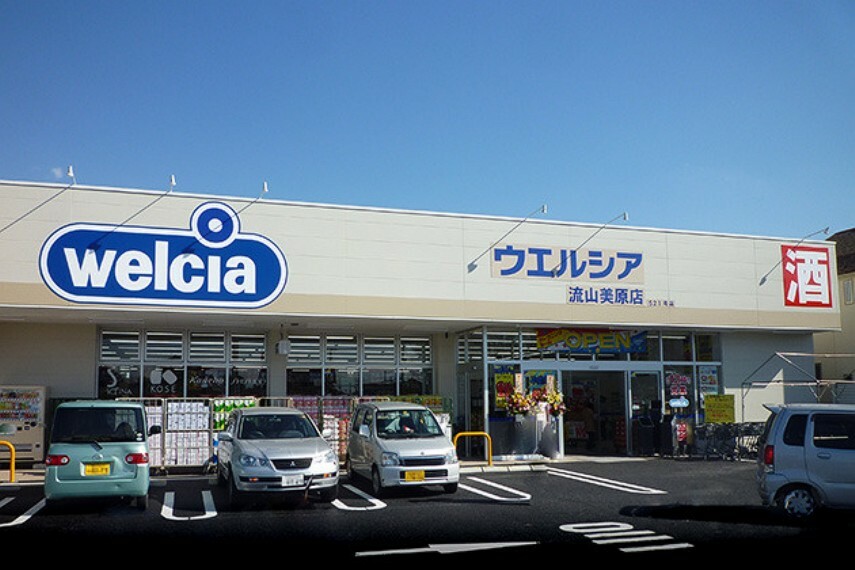 ドラッグストア ウエルシア流山美原店