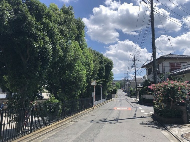 外観・現況 目の前　小谷公園