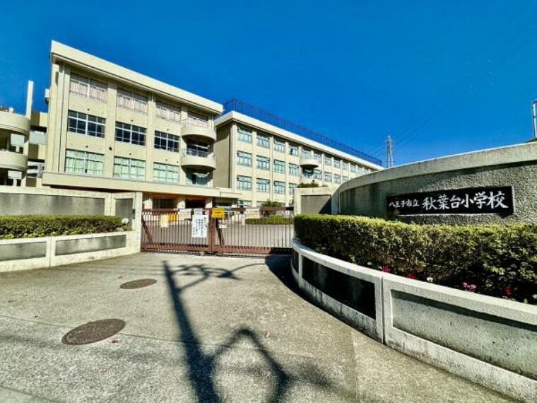 小学校 八王子市立秋葉台小学校迄460m