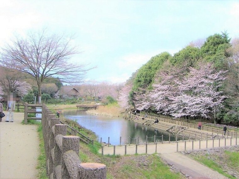 公園 泉の森