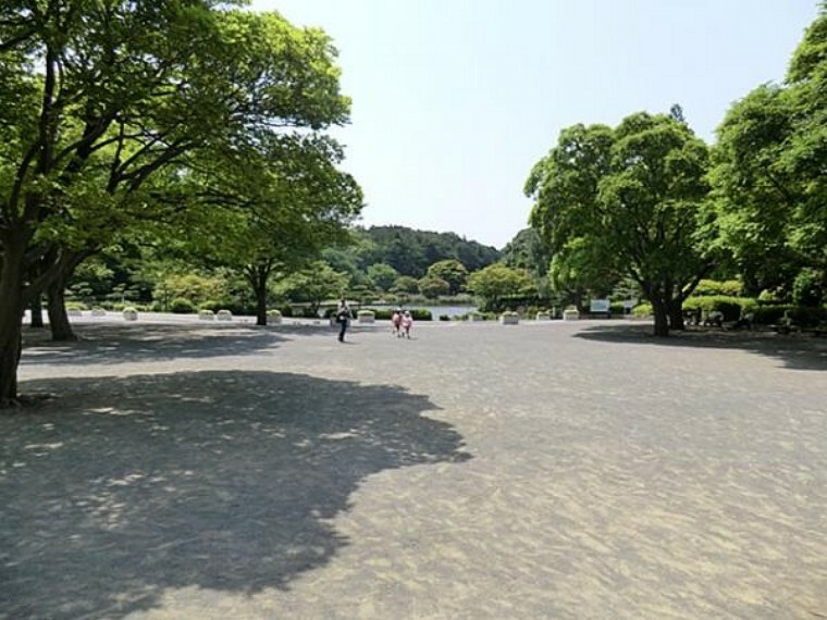 公園 こども自然公園