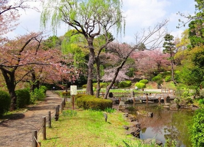 公園 桜の名所としても知られ、春には近郊の家族連れやグループがお花見を楽しんでいます。