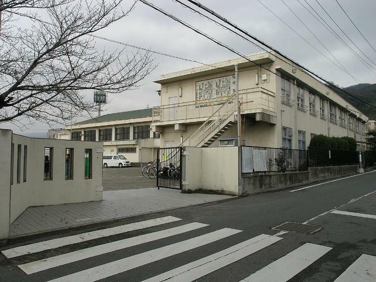 小学校 南高安小学校 大阪府八尾市恩智北町4-650