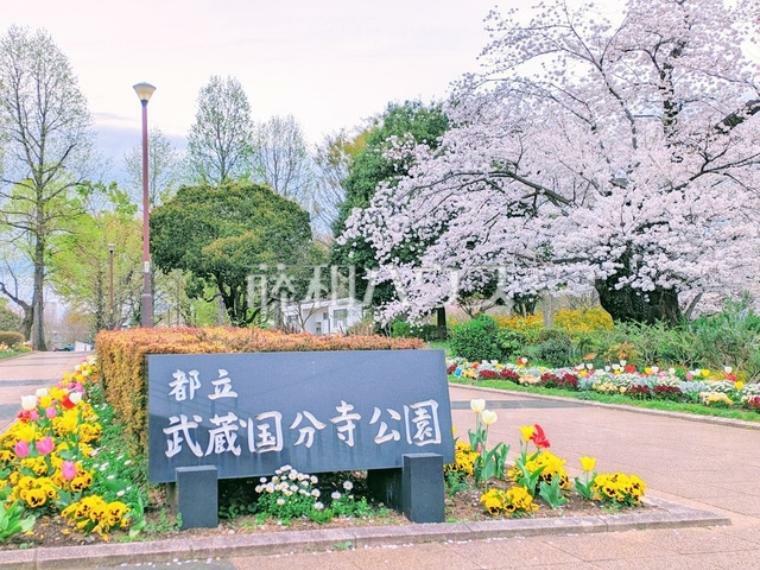 公園 都立武蔵国分寺公園