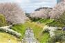 公園 県立相模三川公園