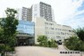病院 湘南鎌倉総合病院まで約364m