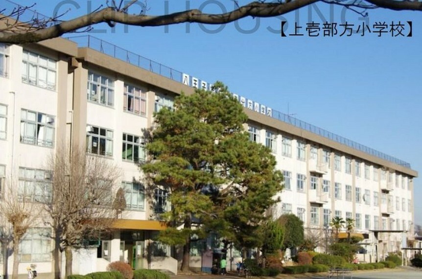 小学校 八王子市立上壱分方小学校 徒歩6分。