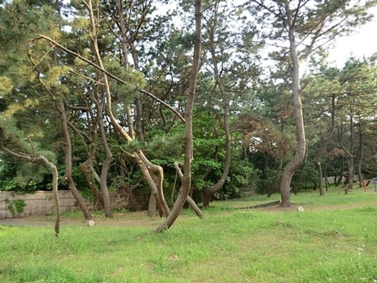 公園 小和田浜公園 公園内に市営の浜須賀水泳プールがあります。小さい子でも安心して遊べるカラフル遊具がそろっています。