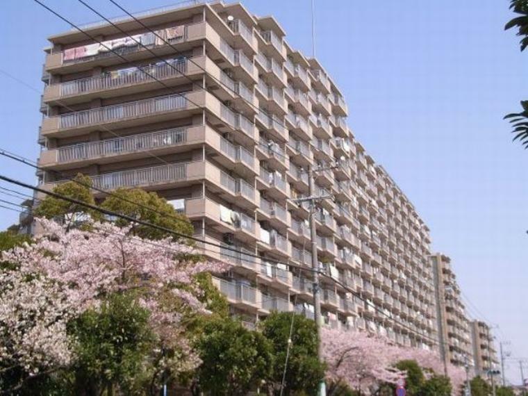 ライオンズマンション南市川 1階