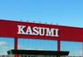 スーパー 【スーパー】KASUMI（カスミ） 三和店まで712m