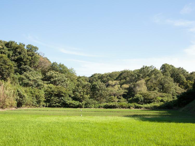 舞岡公園まで2300m 横浜市内でも残り少なくなった昔ながらの田園風景が残された緑豊かな自然公園。茅葺屋根の古民家施設も残、季節のイベントなども体験できます。（約2,300m）